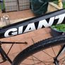 giant  escape hybrid Image 3