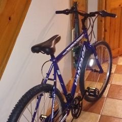 gents bicycle