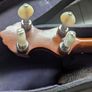 Vega Style K Banjo Mandolin Banjolin Image 4