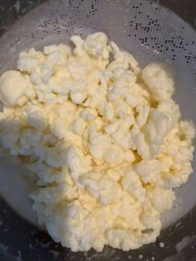 Milk kefir grains (15 grams)