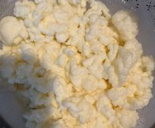 Milk kefir grains (15 grams)