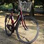 Bike Image 2