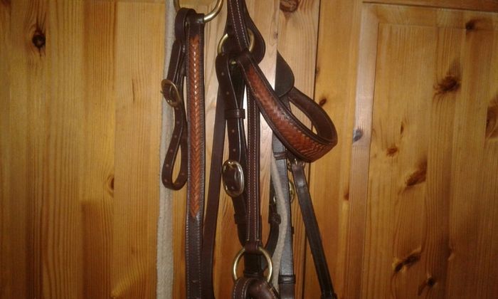 Bridle /bitless