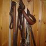 Bridle /bitless Image 5