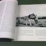 The Irish Draught Horse A History Ireland Image 7