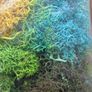 Artificial moss pack - 6 colours Image 3