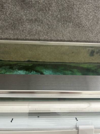 Shallow Fish Tank