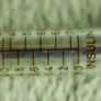 Vintage medical syringe, Doctor tools, Pharmacy glass syringe medical equipment, Old syringe Image 2