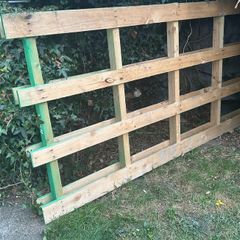 FREE pallet
