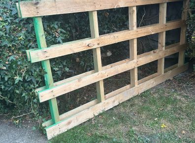FREE pallet