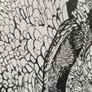 2 x Framed Black & White Drawings Image 4