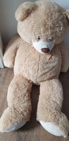 Large teddy