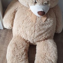 Large teddy