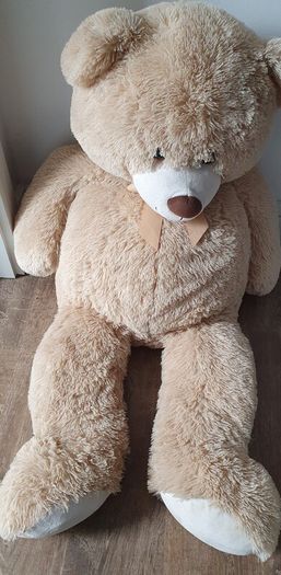 Large teddy