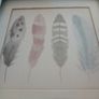Feather Picture Image 2