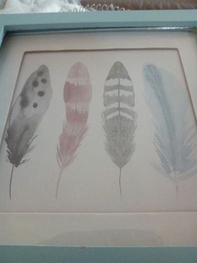 Feather Picture