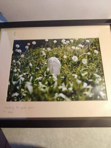 John lennon framed print watching the grass grow NIC 2010 limited edition 3 /500 42.5 x 33 cm.