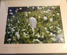 John lennon framed print watching the grass grow NIC 2010 limited edition 3 /500 42.5 x 33 cm.
