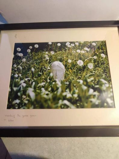 John lennon framed print watching the grass grow NIC 2010 limited edition 3 /500 42.5 x 33 cm.