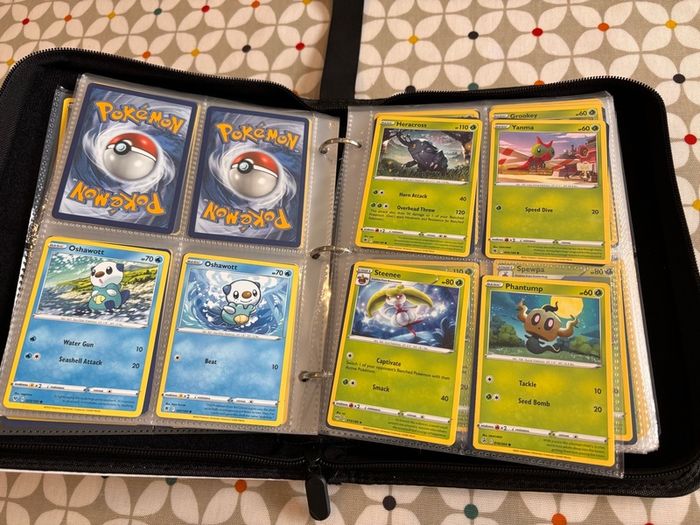 Pokemon folder and cards