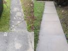 Pro-Cut Pressure Washing and Garden Maintenance Dublin Image 4