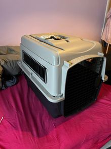 Iata Cat/small Dog Kennel + Accessories