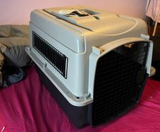 Iata Cat/small Dog Kennel + Accessories