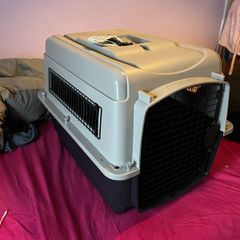 Iata Cat/small Dog Kennel + Accessories
