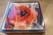 Love And Money (james Grant) - Dogs In The Traffic - Vinyl Record