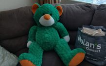 Large musical Ireland teddy