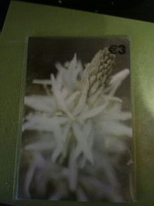 BNWT 5 Pictures to send or frame