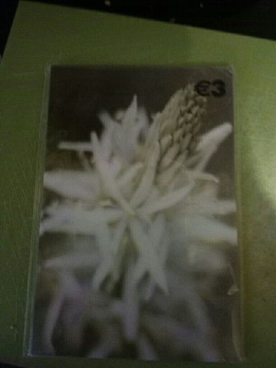 BNWT 5 Pictures to send or frame