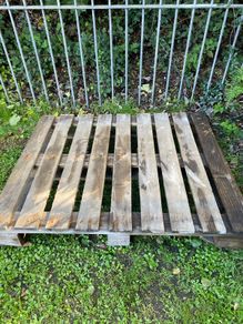 wooden pallet