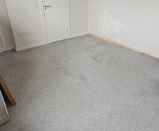 Carpet for free