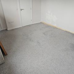 Carpet for free