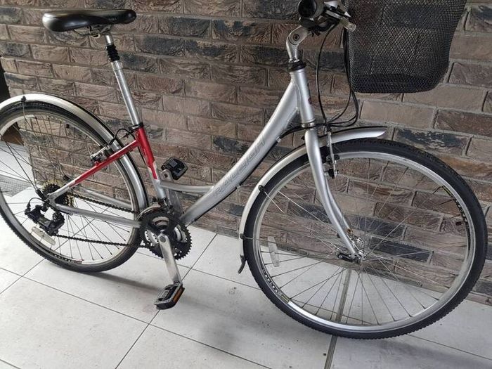 ladies Raleigh city bike ( can deliver)