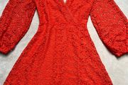 Lace Dress Halloween pumpkin by Next new