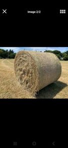 Hay for sale