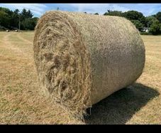 Hay for sale