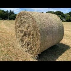 Hay for sale