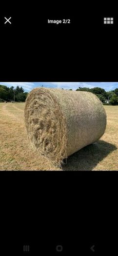 Hay for sale