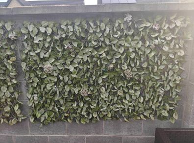 garden panels x 9