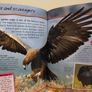 100 Facts Books By Miles Kelly Image 9
