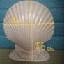 Deco shell Image 4