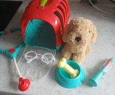 Pet care vet toys