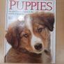 Large Dog Book Bundle Image 4