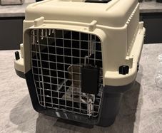 BRAND NEW Pet Carrier / Travel Crate (Petstop L50) - Unused with Tags