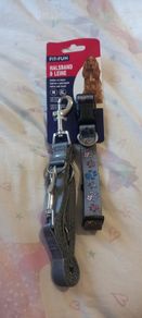 dog leash and collar