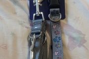 dog leash and collar