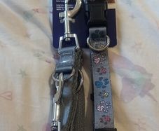 dog leash and collar